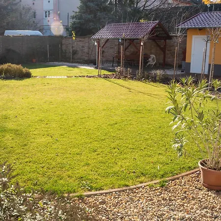 Gesztenye דירה מאקו