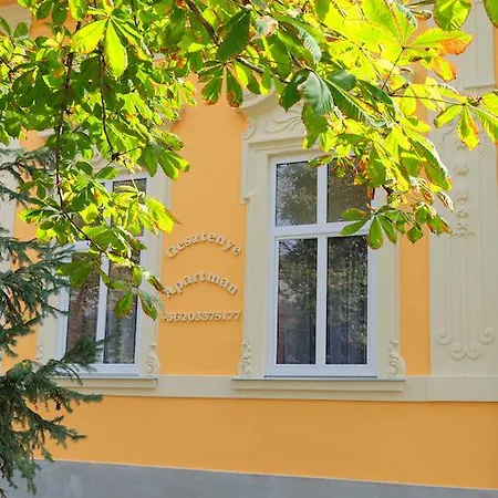 Gesztenye Makó