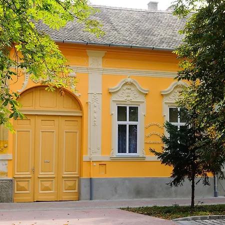 Gesztenye Makó